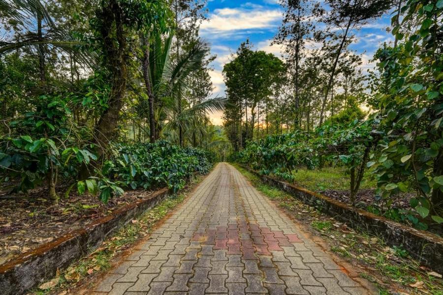 Coorg Bliss Estate Stay Madikeri Exteriér fotografie