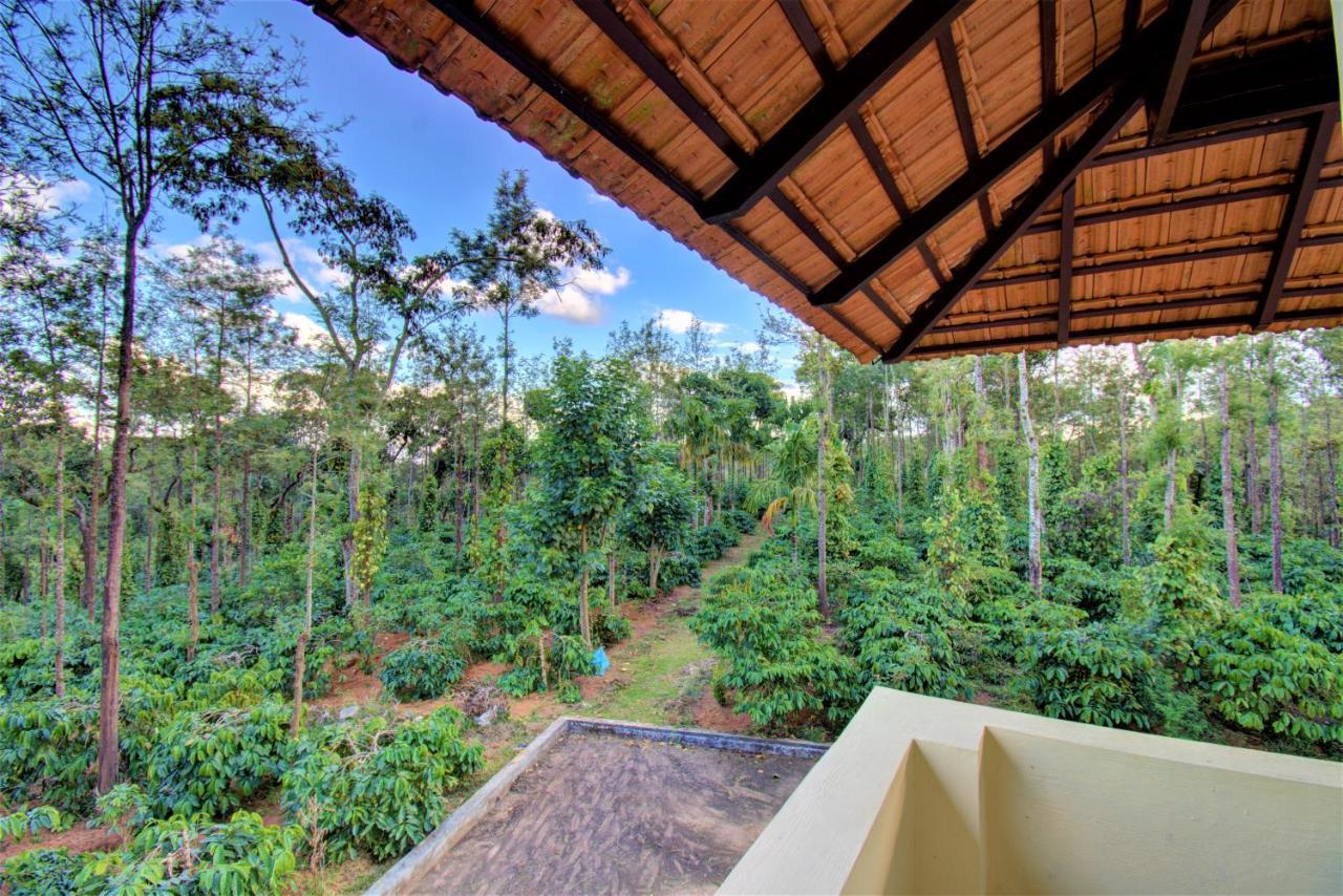 Coorg Bliss Estate Stay Madikeri Exteriér fotografie
