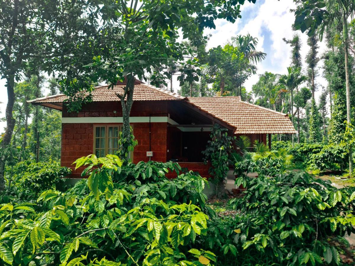 Coorg Bliss Estate Stay Madikeri Exteriér fotografie