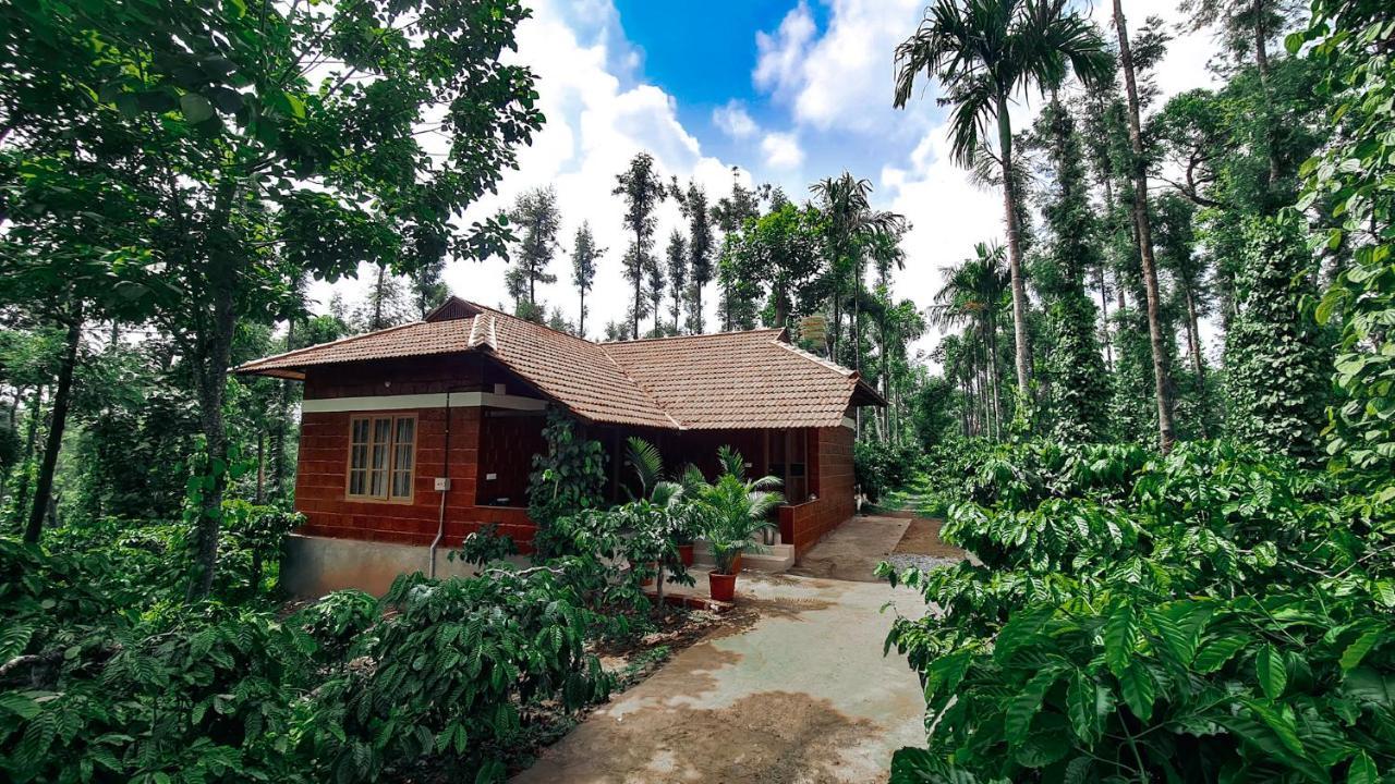 Coorg Bliss Estate Stay Madikeri Exteriér fotografie