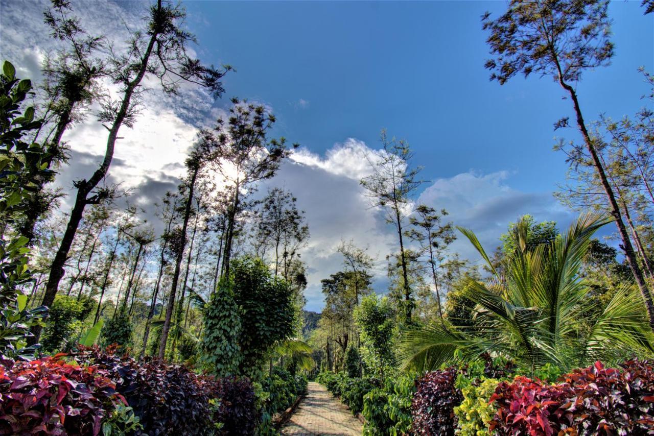 Coorg Bliss Estate Stay Madikeri Exteriér fotografie